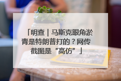 明查｜马斯克眼角淤青是特朗普打的？网传截图是“高仿”