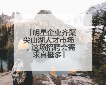 明星企业齐聚尖山湖人才市场，这场招聘会需求真挺多