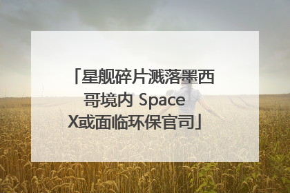 星舰碎片溅落墨西哥境内 SpaceX或面临环保官司