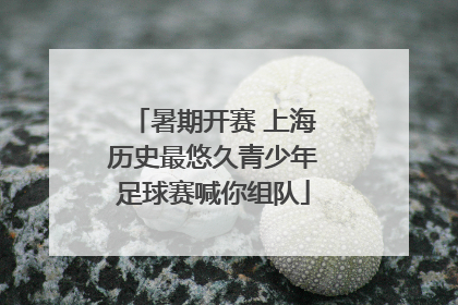 暑期开赛 上海历史最悠久青少年足球赛喊你组队