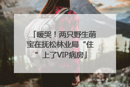 暖哭！两只野生萌宝在抚松林业局“住”上了VIP病房