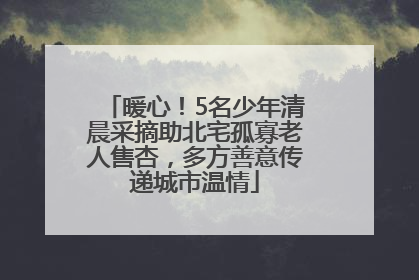 暖心！5名少年清晨采摘助北宅孤寡老人售杏，多方善意传递城市温情
