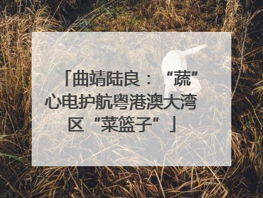 曲靖陆良：“蔬”心电护航粤港澳大湾区“菜篮子”