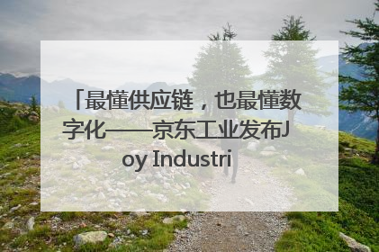 最懂供应链，也最懂数字化——京东工业发布Joy Industrial 重塑工业未来