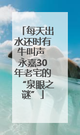 每天出水还时有牛叫声 永嘉30年老宅的“泉眼之谜”
