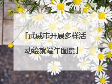 武威市开展多样活动绘就端午图景