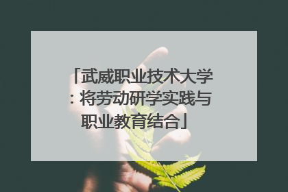 武威职业技术大学：将劳动研学实践与职业教育结合