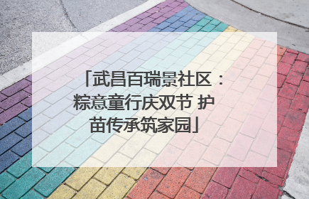 武昌百瑞景社区：粽意童行庆双节 护苗传承筑家园