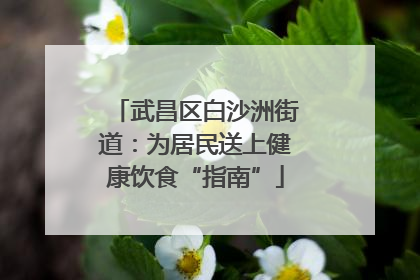 武昌区白沙洲街道：为居民送上健康饮食“指南”