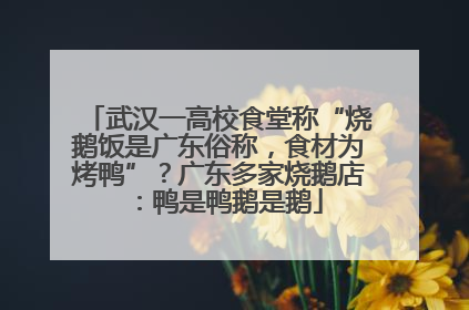 武汉一高校食堂称“烧鹅饭是广东俗称，食材为烤鸭”？广东多家烧鹅店：鸭是鸭鹅是鹅