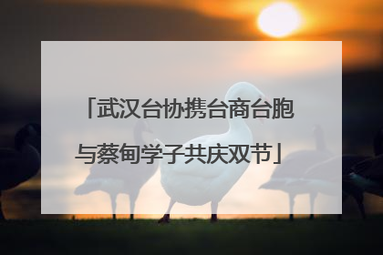 武汉台协携台商台胞与蔡甸学子共庆双节