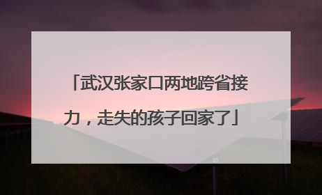 武汉张家口两地跨省接力，走失的孩子回家了