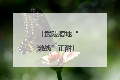 武陵腹地“激战”正酣