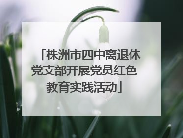 株洲市四中离退休党支部开展党员红色教育实践活动