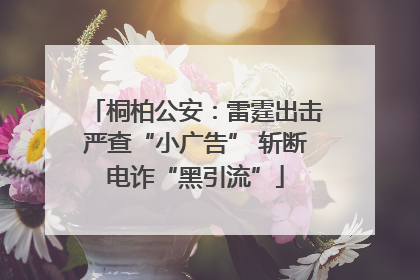 桐柏公安：雷霆出击严查“小广告” 斩断电诈“黑引流”