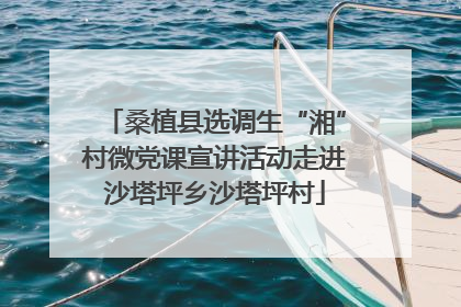 桑植县选调生“湘”村微党课宣讲活动走进沙塔坪乡沙塔坪村