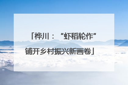桦川：“虾稻轮作”铺开乡村振兴新画卷