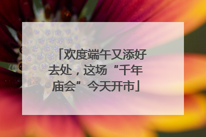欢度端午又添好去处，这场“千年庙会”今天开市