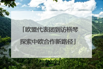 欧盟代表团到访横琴 探索中欧合作新路径