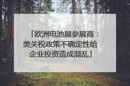 欧洲电池展参展商：美关税政策不确定性给企业投资造成混乱
