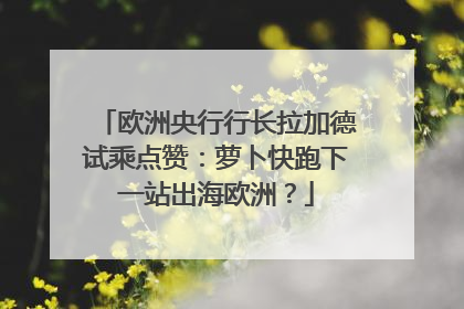 欧洲央行行长拉加德试乘点赞：萝卜快跑下一站出海欧洲？