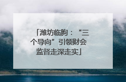 潍坊临朐：“三个导向”引领财会监督走深走实