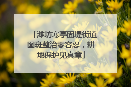 潍坊寒亭固堤街道图斑整治零容忍，耕地保护见真章