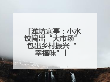 潍坊寒亭：小水饺闯出“大市场” 包出乡村振兴“幸福味”