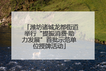 潍坊诸城龙都街道举行“提振消费·助力发展”首批示范单位授牌活动