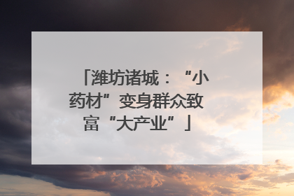 潍坊诸城：“小药材”变身群众致富“大产业”