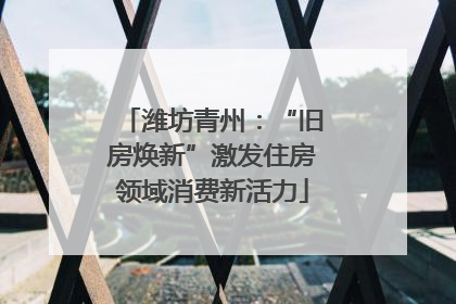 潍坊青州：“旧房焕新”激发住房领域消费新活力