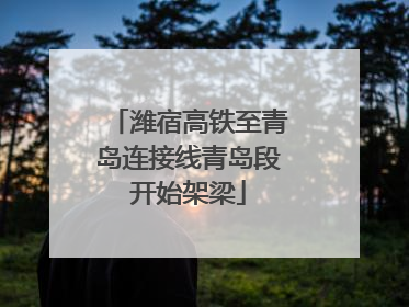 潍宿高铁至青岛连接线青岛段开始架梁