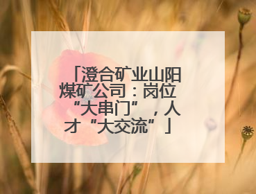 澄合矿业山阳煤矿公司：岗位“大串门”，人才“大交流”