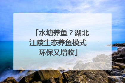 水塘养鱼？湖北江陵生态养鱼模式环保又增收