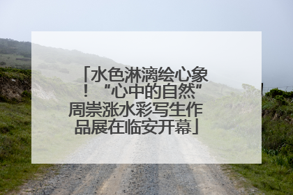 水色淋漓绘心象！“心中的自然”周崇涨水彩写生作品展在临安开幕