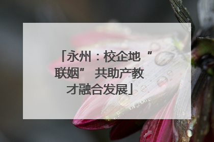 永州：校企地“联姻” 共助产教才融合发展