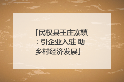 民权县王庄寨镇：引企业入驻 助乡村经济发展