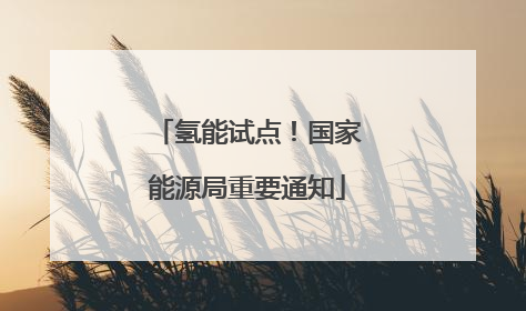 氢能试点！国家能源局重要通知