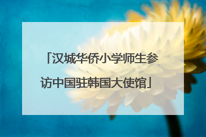 汉城华侨小学师生参访中国驻韩国大使馆