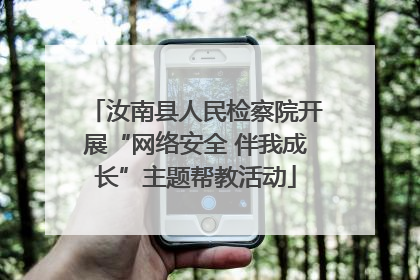 汝南县人民检察院开展“网络安全 伴我成长”主题帮教活动