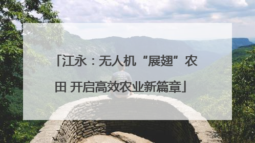江永：无人机“展翅”农田 开启高效农业新篇章