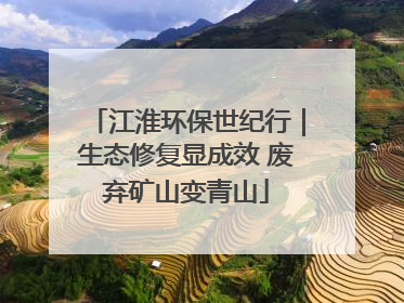 江淮环保世纪行｜生态修复显成效 废弃矿山变青山