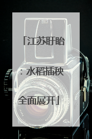 江苏盱眙：水稻插秧全面展开