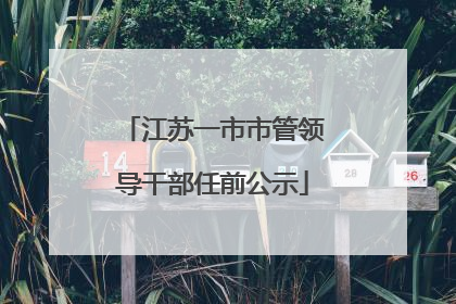 江苏一市市管领导干部任前公示