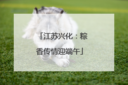 江苏兴化：粽香传情迎端午