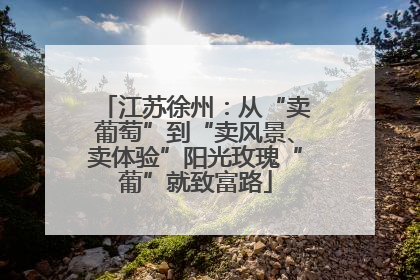 江苏徐州：从“卖葡萄”到“卖风景、卖体验”阳光玫瑰“葡”就致富路