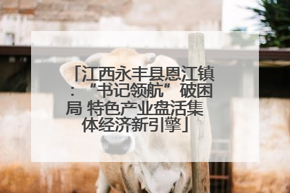 江西永丰县恩江镇：“书记领航”破困局 特色产业盘活集体经济新引擎
