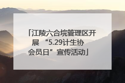 江陵六合垸管理区开展 “5.29计生协会员日”宣传活动