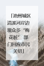池州城区清溪河岸边现众多“梅花桩” 部门回应市民关切