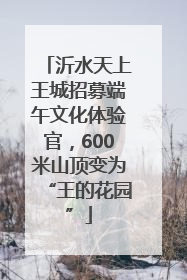 沂水天上王城招募端午文化体验官，600米山顶变为“王的花园”